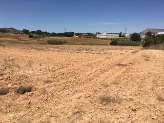 Finca rústica a Almansa. Terreno cercano a la población