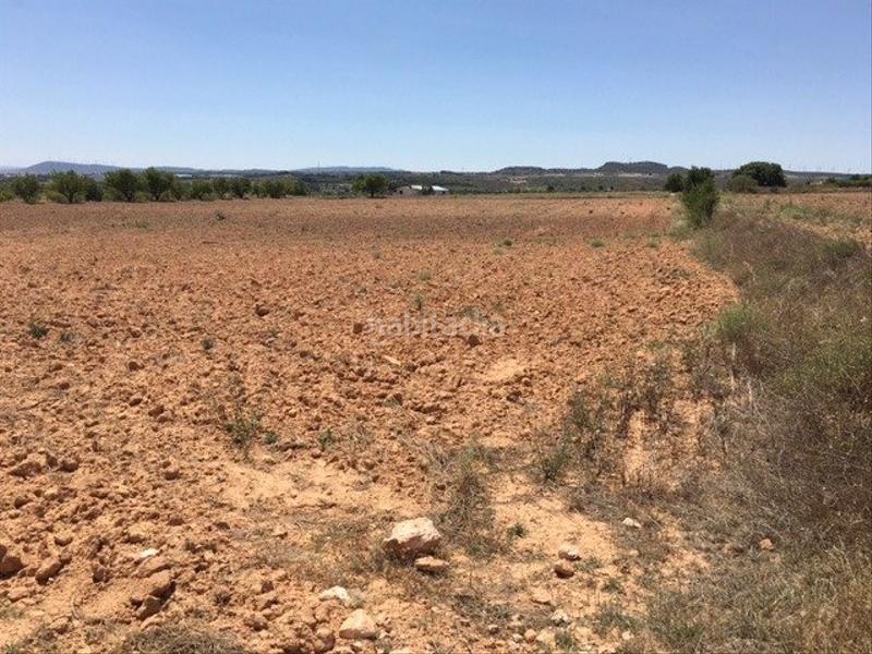 Foto 32d643e4-3e6b-429e-9c69-0dd4bc8ae818. Landgut in Almansa