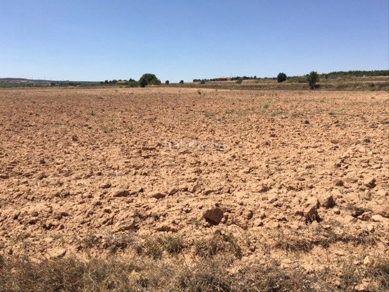 Foto 8994f9d2-18d5-48a2-a5de-dfdc75957f96. Landgut in Almansa