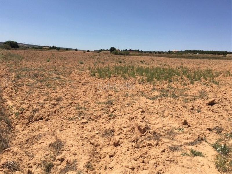 Foto 97bbb01e-6608-4362-aa77-a524bd0bce2f. Landgut in Almansa