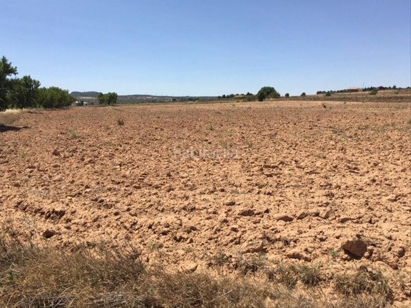 Foto b1224c71-4171-4d18-bcda-cdeef8b65fa1. Landgut in Almansa