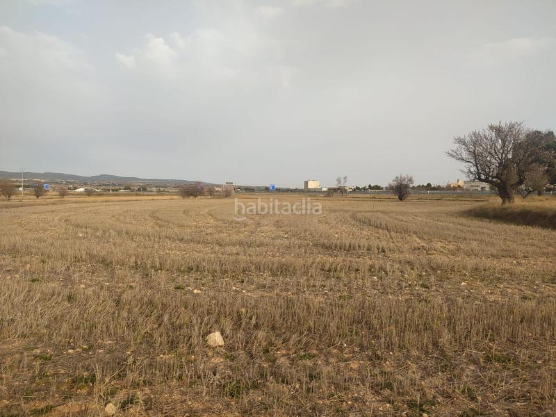 Foto 7bdf2a7a-3a2e-470e-982b-49d8ce1838f7. Landgut in Almansa