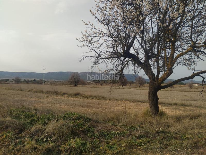 Foto a84b7955-0271-4f75-800d-7c3c4d5181c0. Landgut in Almansa