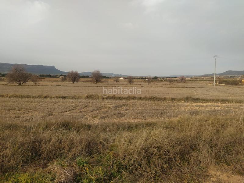 Foto bd13a4a0-f251-40cb-89bf-fb6470312fb2. Landgut in Almansa