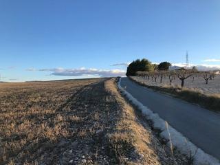Finca rústica a Almansa. Terreno en la zona de cantoblanco a escasos kms .del pueblo