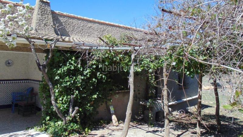 Foto a3d73b74-c7b1-4d76-b3a9-6d0bd0834a49. Chalet  economico en Almansa