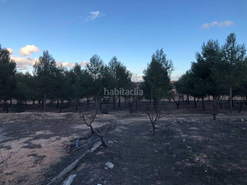 Foto f1a9a5dd-1155-462b-a697-c144123d5113. Chalet  economico en Almansa