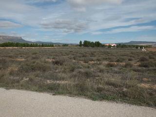 Finca rústica a Almansa