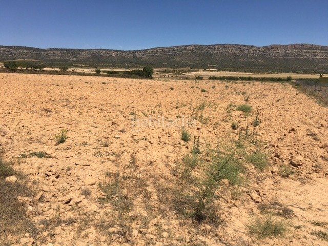 Foto 6192942f-33c4-4fd0-b985-c5b62260fcf5. Finca rústica en Almansa