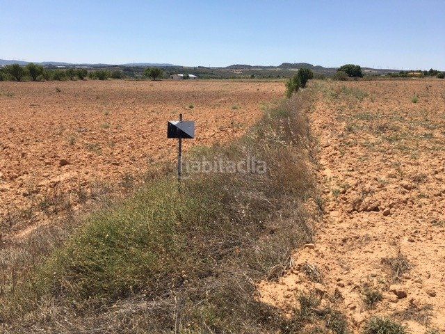 Foto dfb8844e-9c44-4065-8bbc-01acf6865f1d. Finca rústica en Almansa