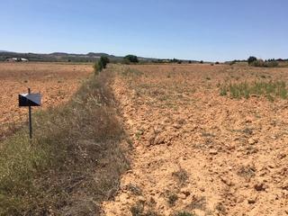 Finca rústica a Almansa