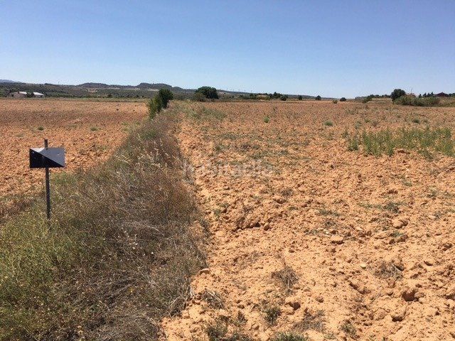 Foto ebad2a25-0dcb-43fa-96c4-89de523d3412. Finca rústica en Almansa