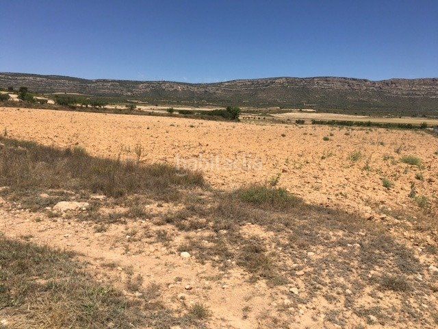 Foto fc41d605-2c00-45ba-9428-2a19315102d4. Finca rústica en Almansa