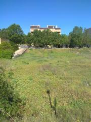 Terreny residencial a Almansa. Parcela de 550 m2