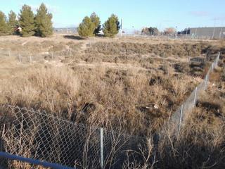 Terreny residencial a Almansa