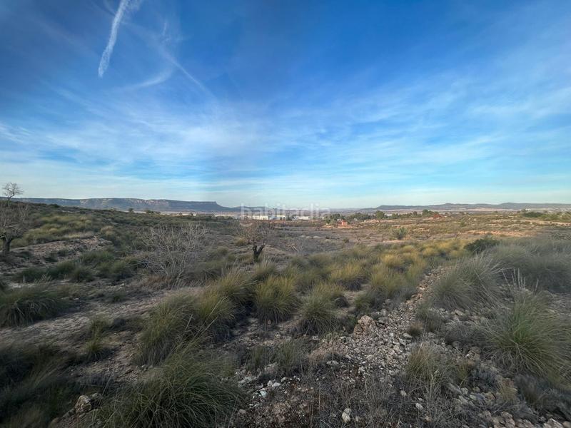 Foto 6ee94b54-372d-4053-ac55-15b523fb3ad2. Landgut in Almansa