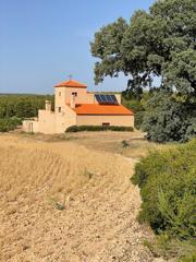 Masia a Almansa. Extraordinaria finca en almansa