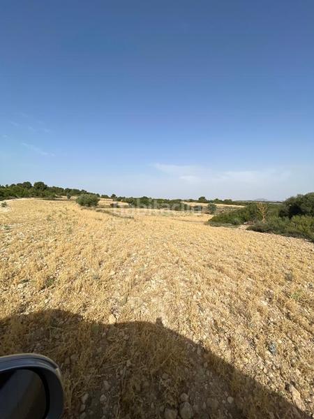 Foto 804eb757-f892-4d34-9920-efb1af205ca4. Masia amb calefacció a Almansa