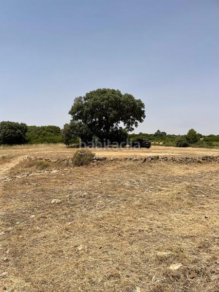 Foto 9278f086-3d0e-4179-9541-f06990d6b286. Masia amb calefacció a Almansa