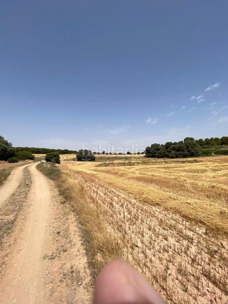 Foto a1b63cb4-c5b3-4216-9820-2e04ec9e9082. Masia amb calefacció a Almansa