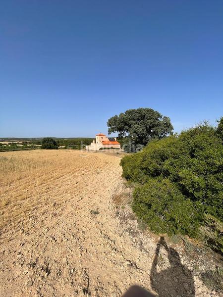 Foto ad2a685e-dcf9-48a6-b6e0-b801b8ccb650. Masia amb calefacció a Almansa