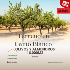 Finca rústica a Almansa. Terreno en canto blanco con 8400m2 con almendros y 8300m2 con ol