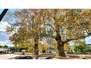 Casa  Calle meson. Casa con terreno en santa cruz de marcherna