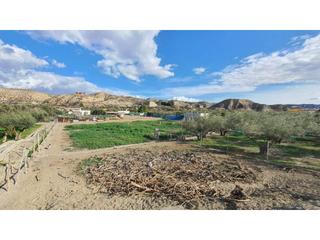 Maison  Meson. Casa con terreno en venta en santa cruz de marchena