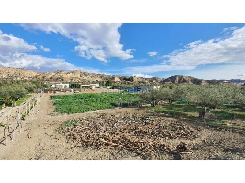 Foto bdab6700-c722-4261-b069-ee25a11c854e. Casa venta casa en Santa Cruz de Marchena