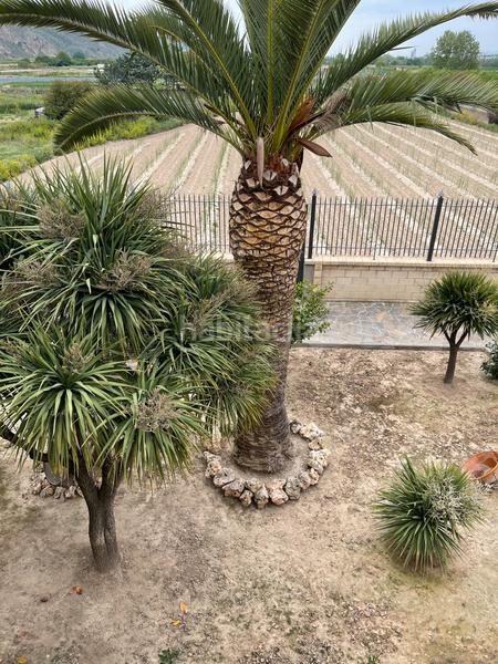 Foto 758ecce4-f502-43e2-9825-103f78363b98. Casa in Andosilla