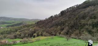 Finca rústica  Andatza diseminado barreiatua