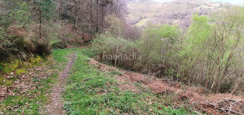 Foto f6d3fdd8-7886-485a-ae1a-f9dd5b612e1c. Finca rústica en Aia