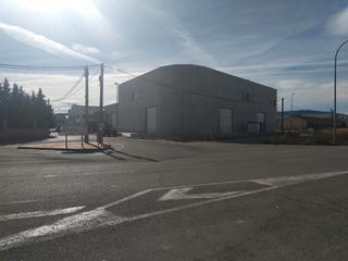 Lloguer Nau industrial a Camino cristo 2