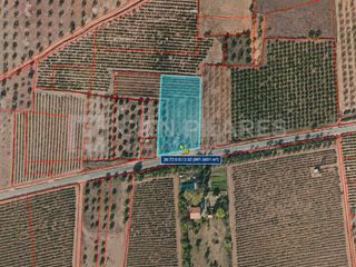 Piso  Prejano. Finca cultivada en la carretera de préjano al lado del monasteri