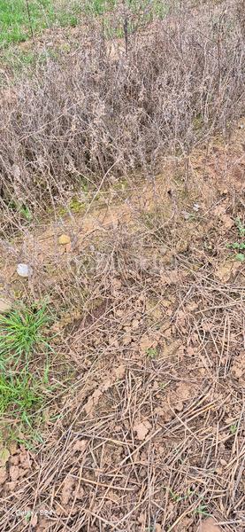 Foto 0190cdbf-b375-4ad5-a9d2-a9b232f110fc. Gewerbliches grundstück in Murillo de Río Leza