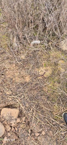 Foto d03b2523-b158-4680-9cc3-ed6ab7c061e7. Gewerbliches grundstück in Murillo de Río Leza