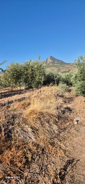 Foto afbf596b-1b52-49b6-acdd-ec165068413b. Fondo rustico in Lagunilla del Jubera