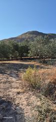 Finca rústica en Lagunilla del Jubera. Finca rustica con pozo legalizado