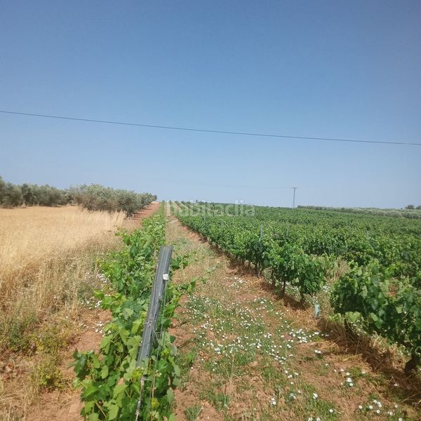 Foto 9099d3e7-f0cf-4536-b255-8fffaec7ae52. Finca rústica a Murillo de Río Leza