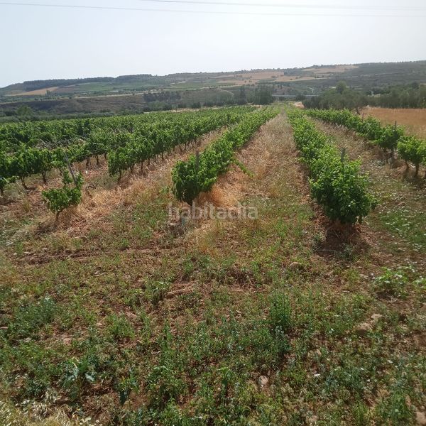Foto c5afb449-e801-4187-86e5-e8d4462e1185. Finca rústica a Murillo de Río Leza