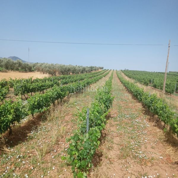 Foto f75375cf-688b-4f93-9149-e966b45e0b19. Finca rústica a Murillo de Río Leza