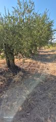 Finca rústica en Murillo de Río Leza