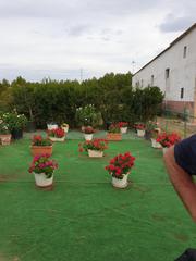 House in Calle serradero 26