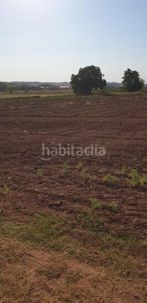 Foto 9a35310b-47f8-4d72-8f67-74648ea2a903. Landgut in plaza la plazuela 8 in Alberite