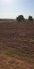 Rural plot in Plaza la plazuela 8