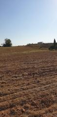 Rural plot in Calle mayor 138
