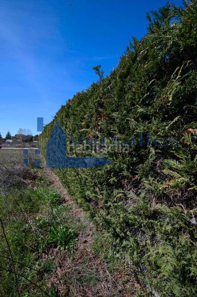 Foto f358f94c-c7e7-4252-9d63-8597b60a1d3b. Terreno residencial en Pelabravo