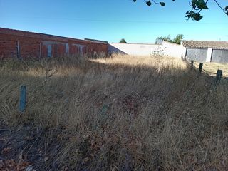 Landgut  Paseo de el inestal. Venta de terreno rústico en peñaranda de bracamonte