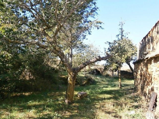 Foto 1eeda4a2-009b-40f0-902d-e1b72613f649. Casa amb aparcament a Santiago Millas