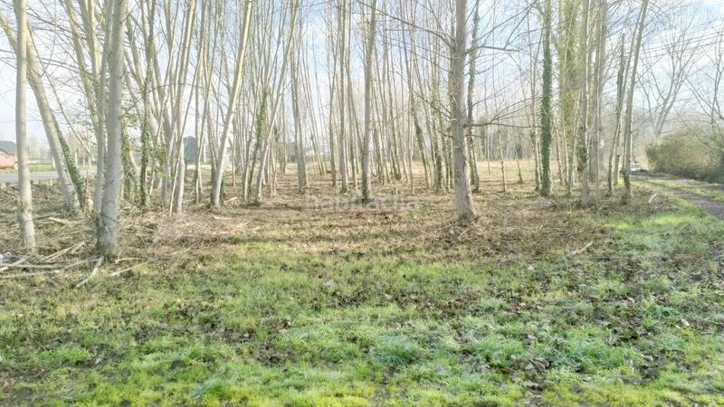 Foto d90ea93c-dd1b-4126-bf6e-2d535d175ef0. Wohngrundstück in Flores de Sil - La Placa Ponferrada